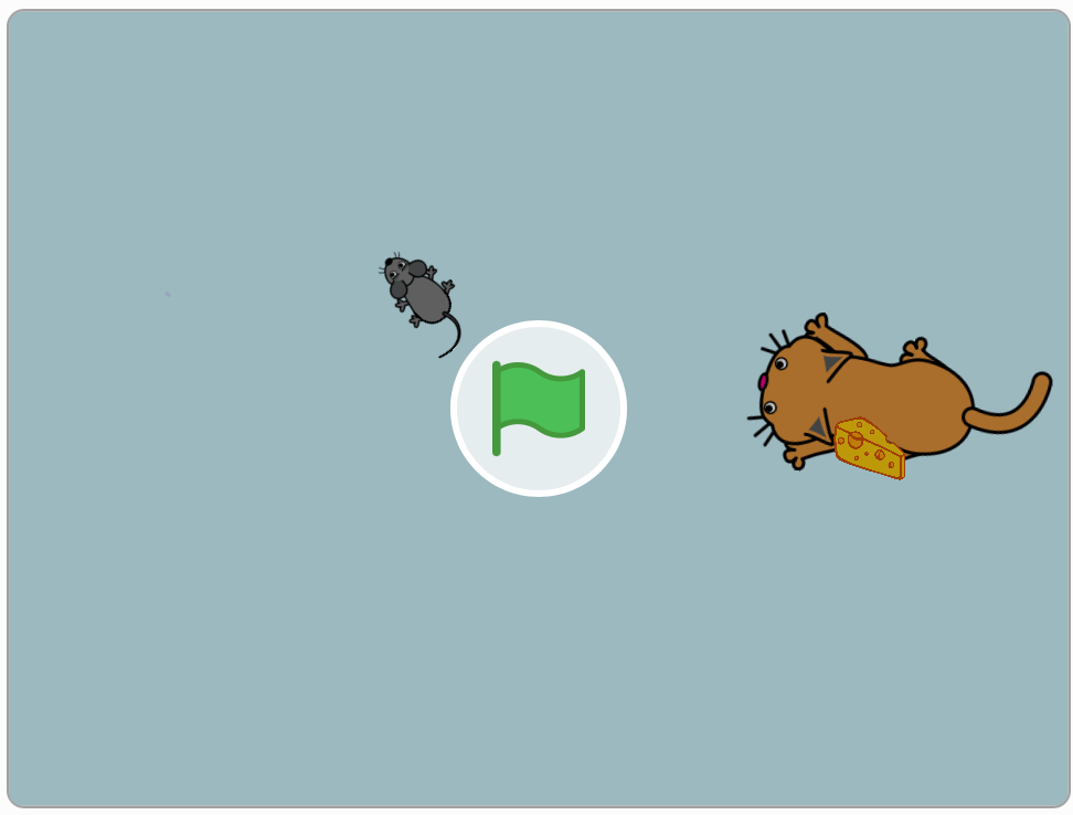 Cat and Mouse Chase&nbsp;Game